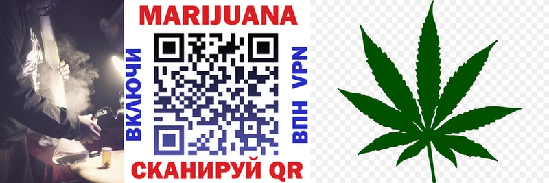 купить наркотики цена  Ангарск  darknet клад  Шишки марихуана SATIVA & INDICA 